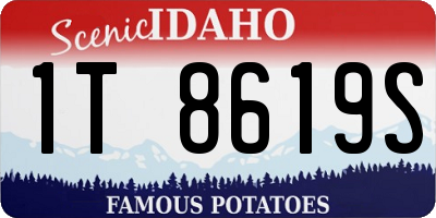 ID license plate 1T8619S