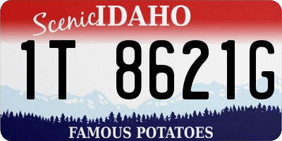 ID license plate 1T8621G