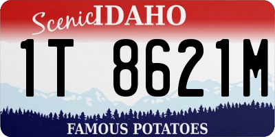 ID license plate 1T8621M