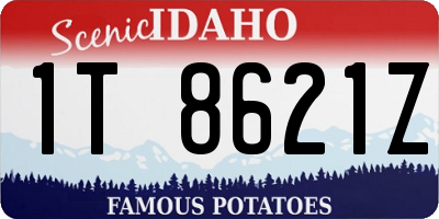 ID license plate 1T8621Z