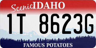 ID license plate 1T8623G