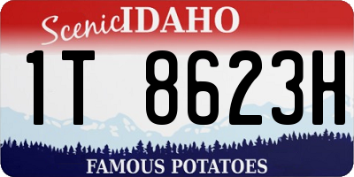 ID license plate 1T8623H