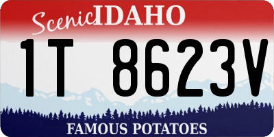 ID license plate 1T8623V