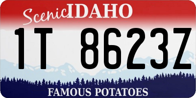 ID license plate 1T8623Z