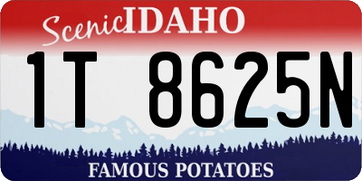ID license plate 1T8625N