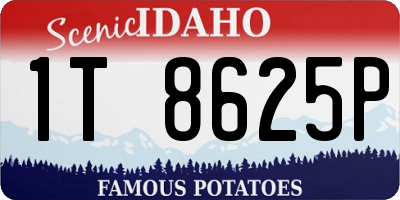 ID license plate 1T8625P
