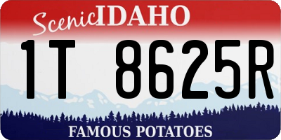 ID license plate 1T8625R