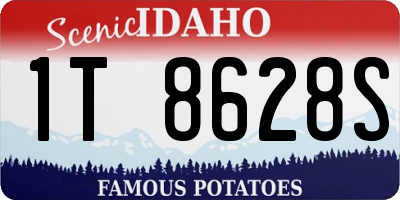 ID license plate 1T8628S