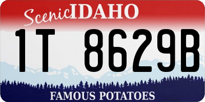 ID license plate 1T8629B