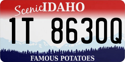 ID license plate 1T8630Q