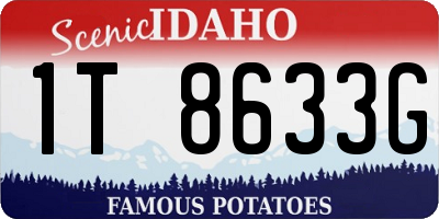 ID license plate 1T8633G