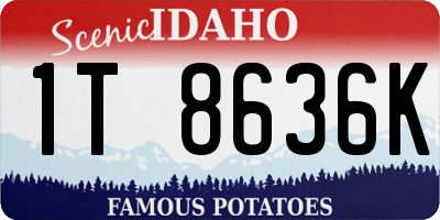 ID license plate 1T8636K