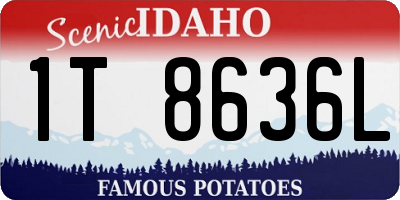 ID license plate 1T8636L