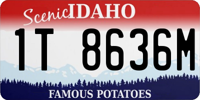 ID license plate 1T8636M