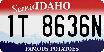 ID license plate 1T8636N