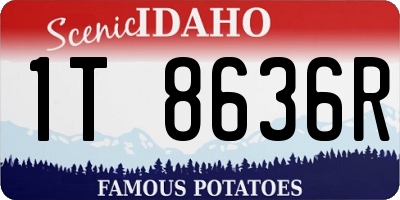 ID license plate 1T8636R