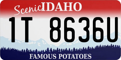 ID license plate 1T8636U