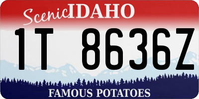 ID license plate 1T8636Z