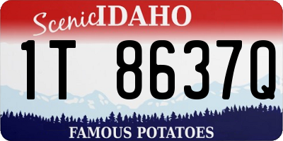 ID license plate 1T8637Q