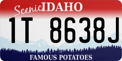 ID license plate 1T8638J