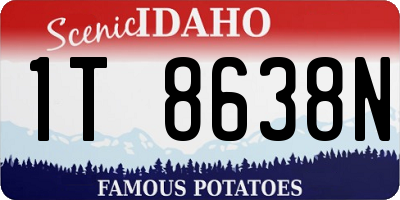 ID license plate 1T8638N