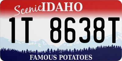 ID license plate 1T8638T