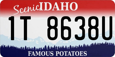 ID license plate 1T8638U