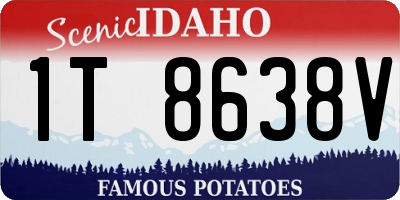 ID license plate 1T8638V