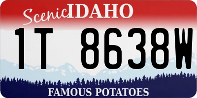 ID license plate 1T8638W