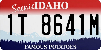 ID license plate 1T8641M