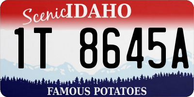 ID license plate 1T8645A
