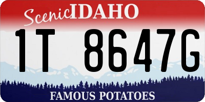 ID license plate 1T8647G