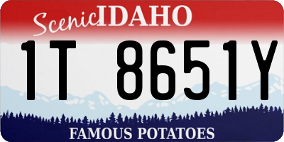 ID license plate 1T8651Y