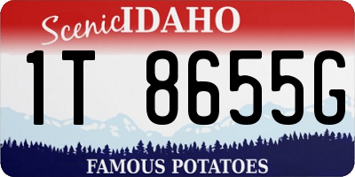 ID license plate 1T8655G
