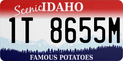 ID license plate 1T8655M
