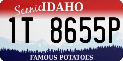 ID license plate 1T8655P
