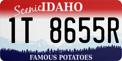 ID license plate 1T8655R