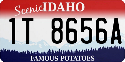 ID license plate 1T8656A