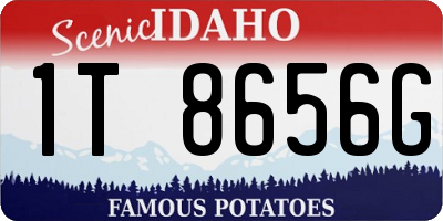 ID license plate 1T8656G