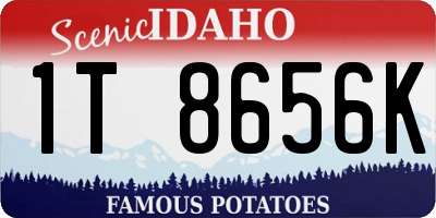 ID license plate 1T8656K