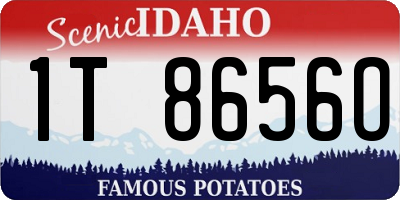 ID license plate 1T8656O