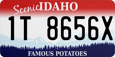 ID license plate 1T8656X