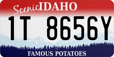 ID license plate 1T8656Y