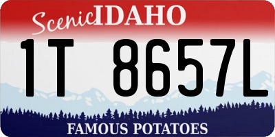 ID license plate 1T8657L
