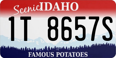 ID license plate 1T8657S