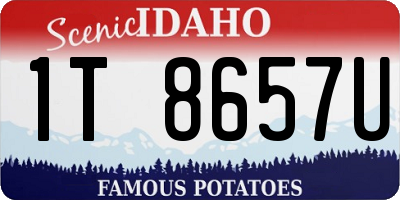 ID license plate 1T8657U