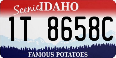 ID license plate 1T8658C