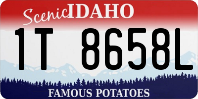 ID license plate 1T8658L