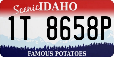 ID license plate 1T8658P