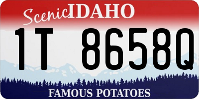 ID license plate 1T8658Q